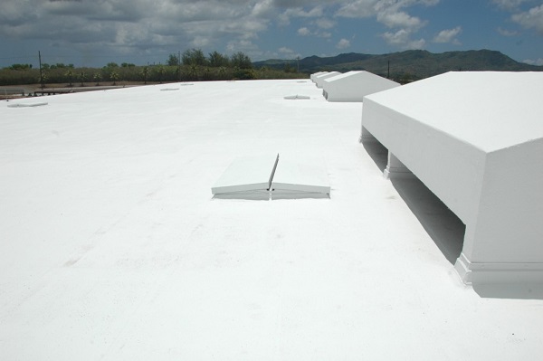 Концентрат для удаления загрязнений RoofCoat Pro Cleaning Concentrate