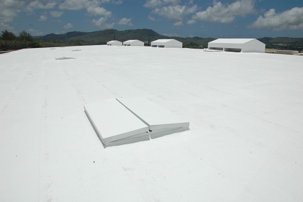 Концентрат для удаления загрязнений RoofCoat Pro Cleaning Concentrate