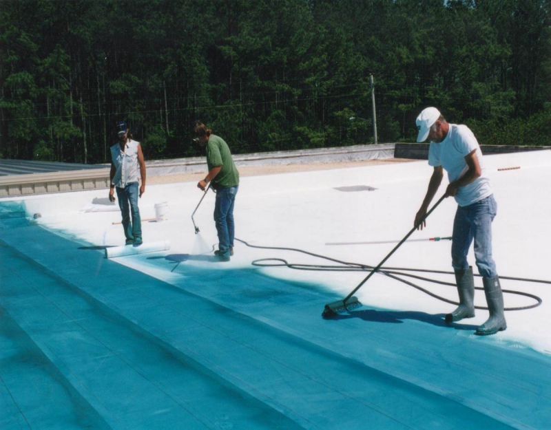 RoofCoat Pro Unibase Primer - грунтовка для усиления сцепления покрытий 