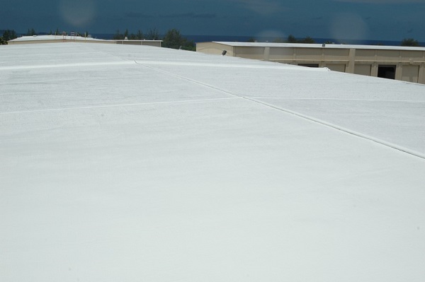 Концентрат для удаления загрязнений RoofCoat Pro Cleaning Concentrate